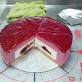 ココナッツ☆'s cooksnap of when they made ラズベリーのヨーグルトレアチーズケーキ.