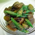 ももたん2007's cooksnap of when they made 茄子とオクラの炒め物.