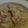 Tondebon's cooksnap of when they made 本格☆簡単！我が家のカルボナーラ.