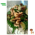 ＭＡＹＯＭＡＹＯ　's cooksnap of when they made 夏レシピ☆しめじときゅうりのｗしそ和え.
