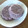 快くん's cooksnap of when they made あずきアイス*.