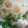 ちなごん♪'s cooksnap of when they made 鮭の白子さっぱり和え.
