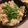 momo&goma's cooksnap of when they made CMで放映中！「きのこの炊き込みご飯」.