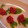 coco_soa's cooksnap of when they made トマトの皮でお花.
