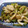 yukiはぴ's cooksnap of when they made 毎日食べたい！！ゴウヤと鶏皮の塩きんぴら.