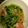 江戸っ子メルヘン's cooksnap of when they made 豆苗とベーコンのペペロン炒め.