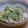 akemin★'s cooksnap of when they made ゴーヤの簡単サラダ.