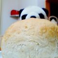 スミレぱん's cooksnap of when they made 天然酵母のパン（巨峰編）.