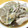 みくえも's cooksnap of when they made 生鮭と舞茸のおろし煮.