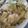 ｺｱﾗ's cooksnap of when they made キャベツの塩こんぶ和え.