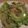 トミュー？'s cooksnap of when they made ゴーヤ＆ツナ✿中華和え♡.