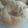 みおまま★'s cooksnap of when they made ｺｺｱ＆ﾌﾟﾚｰﾝﾍﾞｰｸﾞﾙ.