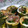 あーりータイムズ's cooksnap of when they made ほうれんそうと卵の海苔巻き.