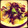 TARUFU's cooksnap of when they made あさりとキャベツの酒蒸し.