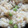 かぴーな's cooksnap of when they made 簡単 豆ごはん。.