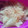 かぴーな's cooksnap of when they made ルクエで☆玉ねぎのおひたし☆.
