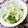 キョク's cooksnap of when they made 即興で！白菜の浅漬け.
