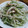 mangoari's cooksnap of when they made 簡単♪もやしの酢の物.