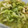 はるにちん's cooksnap of when they made セロリの漬物風.