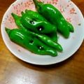 のりっち１０'s cooksnap of when they made シシトウのバター醤油のコツ.