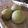 JUNSEIママ's cooksnap of when they made グリーン食パン.