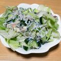 mintsack's cooksnap of when they made もりもり食べれる☆みょうがのレタスサラダ.
