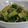 Hoink's cooksnap of when they made 叩ききゅうりとしらすのしょうが醤油漬け♪.