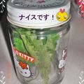 ゆけり３兄弟's cooksnap of when they made すご～く長持ち！大葉の保存・・・☆.