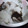 ユーロン's cooksnap of when they made きのこのおひたし　大根おろし添え.