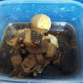 すーちゃんmama's cooksnap of when they made 圧力鍋で簡単☆豚の角煮.