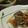 はらぺこあおむし～'s cooksnap of when they made ニンニクの芽のピリ辛焼肉丼.