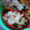 ＭＯＭＯパンダ's cooksnap of when they made 簡単!!キャベツとツナのさっぱり和え★.
