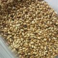 seraphi's cooksnap of when they made 我が家のおやつの定番☆煎り玄米.