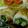 poorider's cooksnap of when they made シソと豚肉のオクラ巻き.