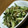 ju_10's cooksnap of when they made きゅうりと茄子の胡麻和え.