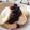 yappyパクパク's cooksnap of when they made おいしい☆ブルーベリーソース☆.