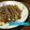 umizarusuki's cooksnap of when they made イカゲソのお好み焼き.