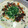 tsubuppy's cooksnap of when they made 水蛋（中華風茶碗蒸し）.