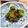 gakoちゃん's cooksnap of when they made オクラと梅のおかか和え★.