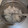 ashママ★☆'s cooksnap of when they made 梨のコンポート！！まるで梨の缶詰(^^).