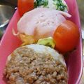 Rミルフィーユ's cooksnap of when they made てまり　★　お弁当.