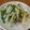 ＰＡＳＳ's cooksnap of when they made おかずもう一品★じゃがピー塩炒め.