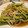haru吉's cooksnap of when they made きゅうりともやしのピリ辛炒め.