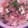 やすぴち's cooksnap of when they made 野菜たっぷり☆ベーコンと豆腐のとろみ煮.