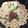 Raiｒeo's cooksnap of when they made 簡単！うどんのナムル？！♪.