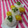 るらちゃん's cooksnap of when they made 飯の友♪オクラ　ほんだし　かつおぶし♪.