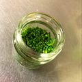 小豆太郎's cooksnap of when they made 基本の穂紫蘇の塩漬け.