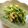 サンディサンディ's cooksnap of when they made 豆苗のにんにく風味炒め.