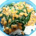 chanphy's cooksnap of when they made モロヘイヤと納豆のネバ胡麻和え.