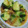 ニコル1101's cooksnap of when they made 中華くらげときゅうりのサラダ.